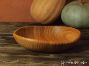 Assiette mi-creuse en orme 641