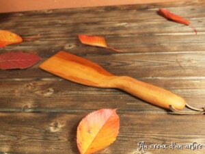 Spatule en pommier