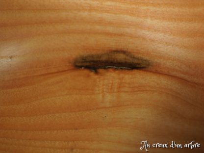 Bol en frêne - Taille bébé – Image 6
