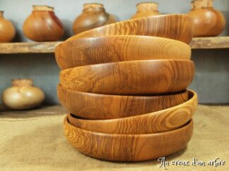 Assiettes creuses en frêne-olivier