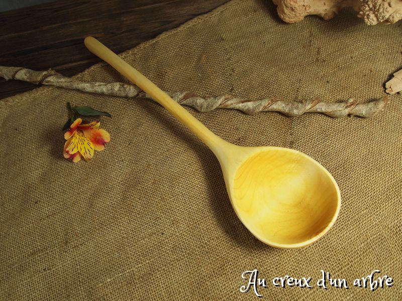 Louche en aulne – Image 3