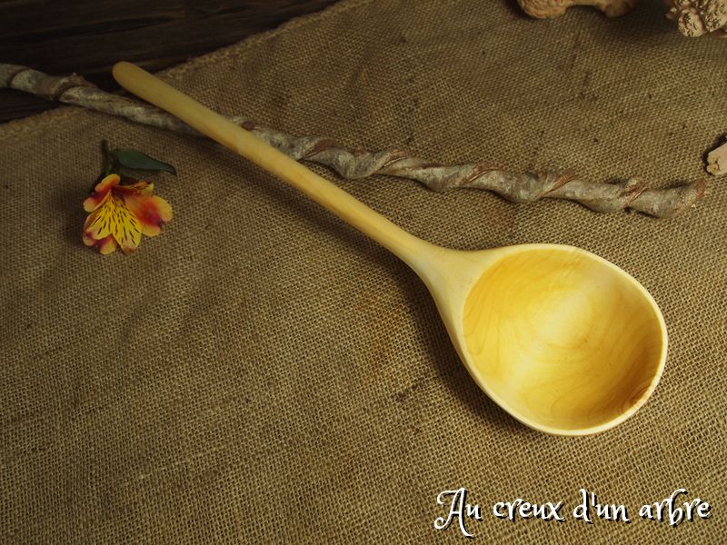 Louche en aulne – Image 5